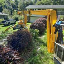 Tree care service with our new omme lift 2750 spider lift 004