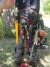 tree care service gear