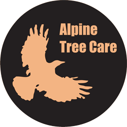 Alpine Tree Care - Lexington SC