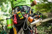 arborist equipment - Puma™ Harness by Buckingham