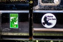 Certified Arborist - Alpine Tree Care