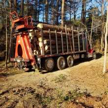 pine tree logs being hauled off